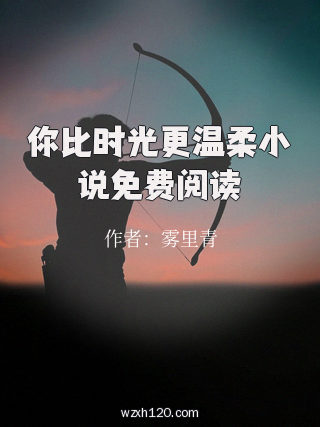你比时光更温柔小说免费阅读