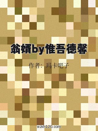 翁婿by惟吾德馨
