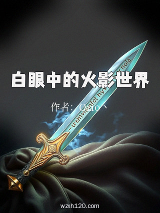 白眼中的火影世界
