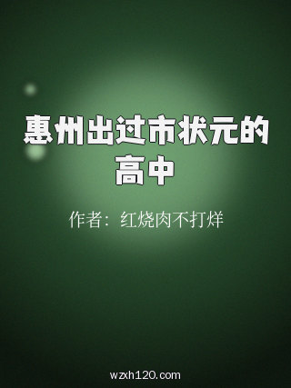 惠州出过市状元的高中