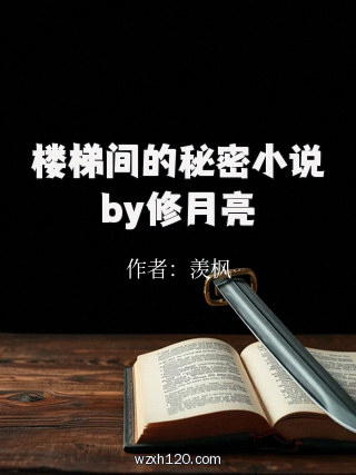 楼梯间的秘密小说by修月亮