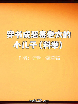 穿书成恶毒老太的小儿子（科举）