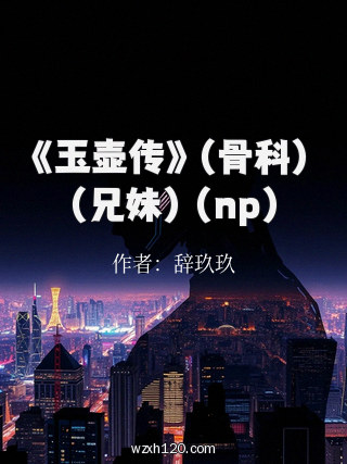 《玉壶传》(骨科)(兄妹)(np)