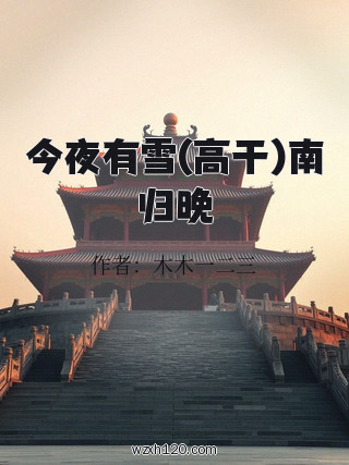 今夜有雪(高干)南归晚