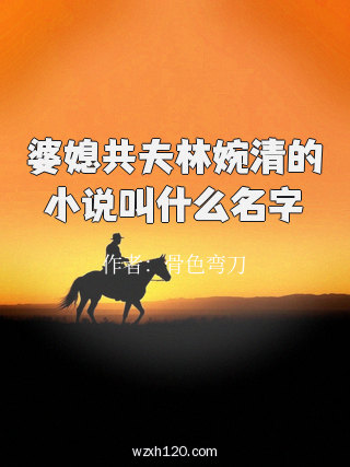 婆媳共夫林婉清的小说叫什么名字