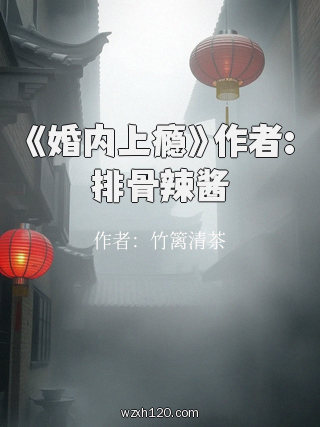 《婚内上瘾》作者:排骨辣酱