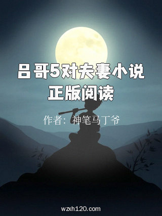 吕哥5对夫妻小说正版阅读