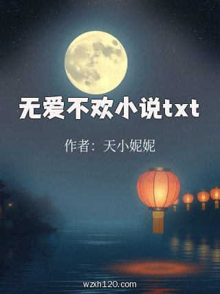 无爱不欢小说txt