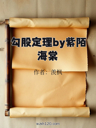 勾股定理by紫陌海棠