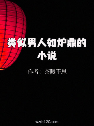 类似男人如炉鼎的小说