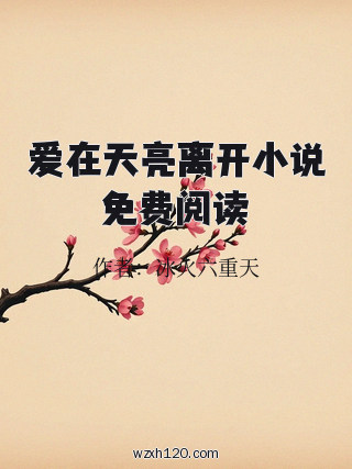 爱在天亮离开小说免费阅读