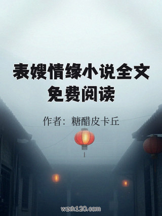 表嫂情缘小说全文免费阅读