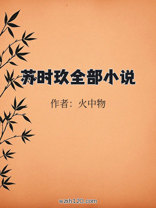 苏时玖全部小说