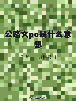 公路文po是什么意思