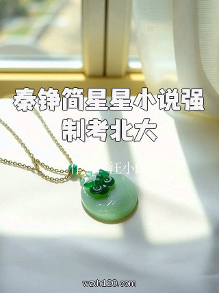 秦铮简星星小说强制考北大