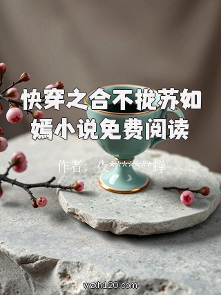 快穿之合不拢苏如嫣小说免费阅读