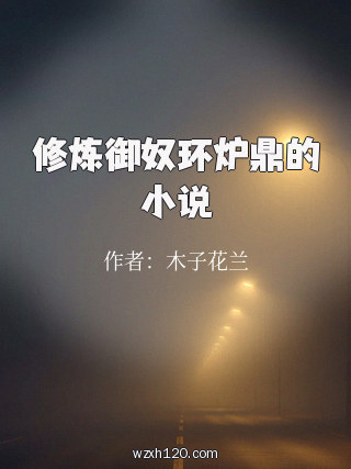 修炼御奴环炉鼎的小说