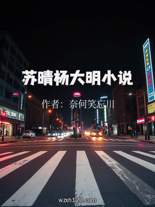 苏晴杨大明小说