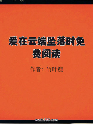 爱在云端坠落时免费阅读