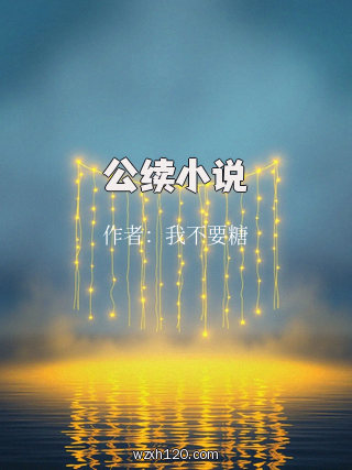 公续小说