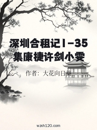 深圳合租记1-35集康捷许剑小雯