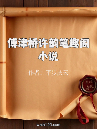 傅津桥许韵笔趣阁小说