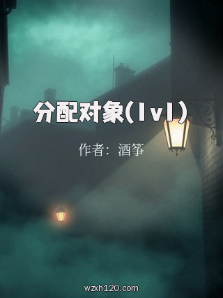分配对象(1v1)