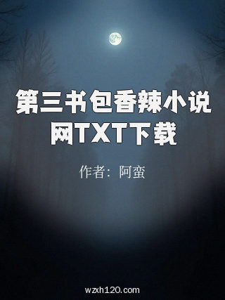 第三书包香辣小说网TXT下载
