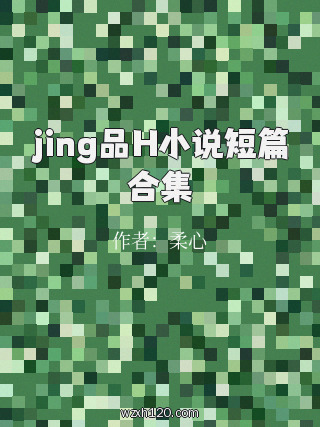 jing品H小说短篇合集