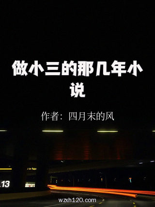 做小三的那几年小说