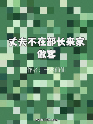 丈夫不在部长来家做客