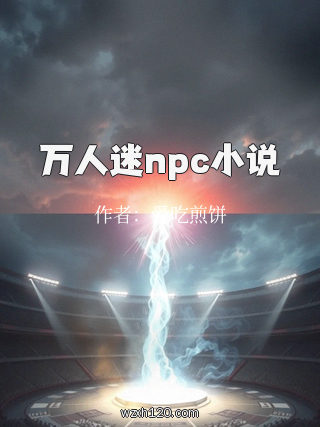 万人迷npc小说