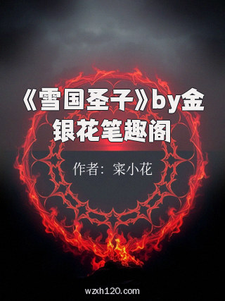 《雪国圣子》by金银花笔趣阁