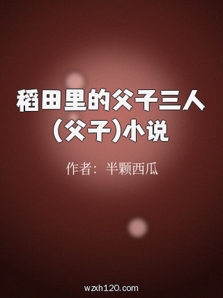 稻田里的父子三人(父子)小说