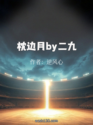 枕边月by二九