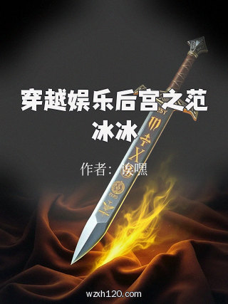 穿越娱乐后宫之范冰冰