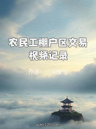 农民工棚户区交易视频记录