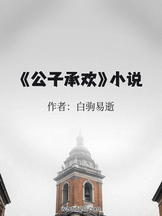 《公子承欢》小说