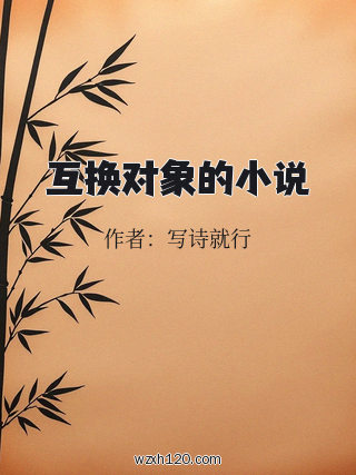 互换对象的小说