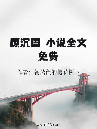 顾沉周玥小说全文免费