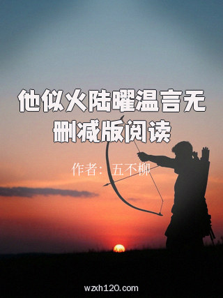 他似火陆曜温言无删减版阅读