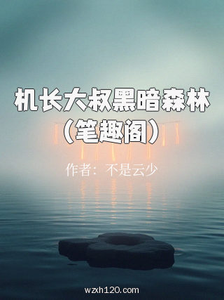 机长大叔黑暗森林(笔趣阁)
