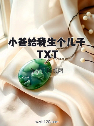 小爸给我生个儿子TXT