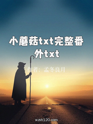 小蘑菇txt完整番外txt