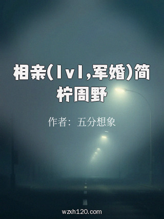 相亲(1v1,军婚)简柠周野