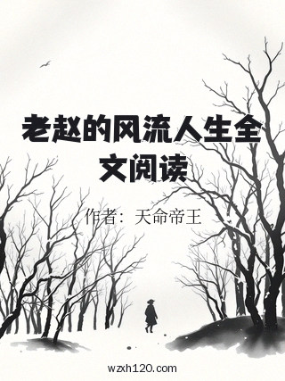 老赵的风流人生全文阅读
