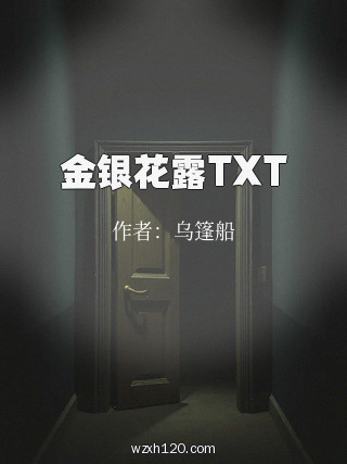 金银花露TXT