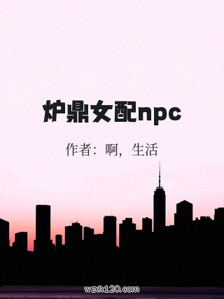 炉鼎女配npc