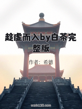 趁虚而入by白茶完整版