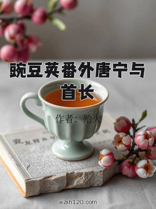 豌豆荚番外唐宁与首长
